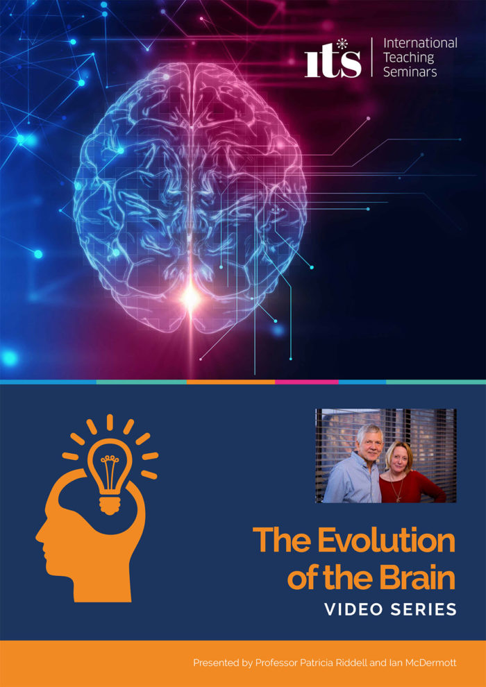The Evolution of the Brain: Video Series
