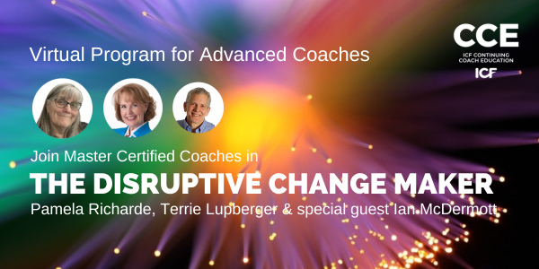 The Disruptive Change Maker - - International Teaching Seminars
